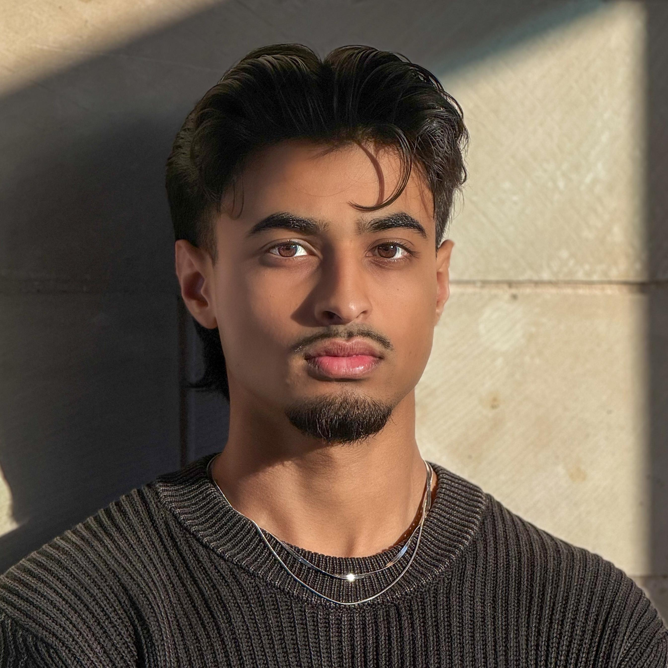 Ismail Ali - Account Executive at Spiderbug AI